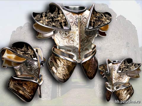 Тяжелая Полная Броня
