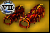 Perfected Fiery Cuffs of Abstruse
