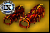 Perfected Fiery Cuffs of Recondite