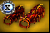 Perfected Fiery Cuffs of Veiled