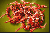Improved Fiery Cuffs of Intricate