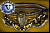 Perfected Belt of Seizure