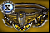 Perfected Belt of Ruse