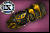 Gloves of Safety
