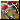 Perfected Ring of Grim